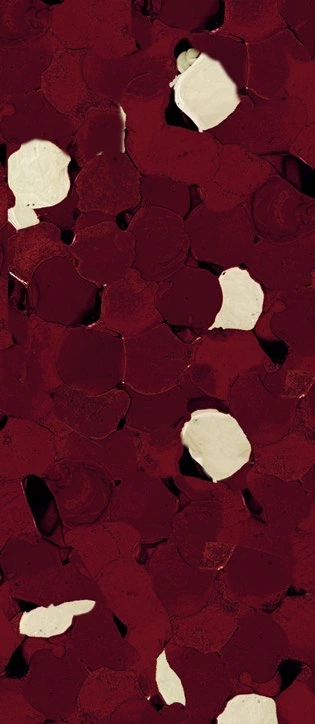 Maroon — ECOPIXEL